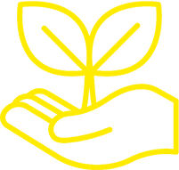 تولید کود 